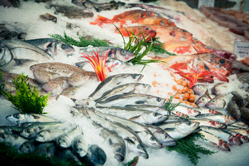 plateau de fruits de mer Mouvaux